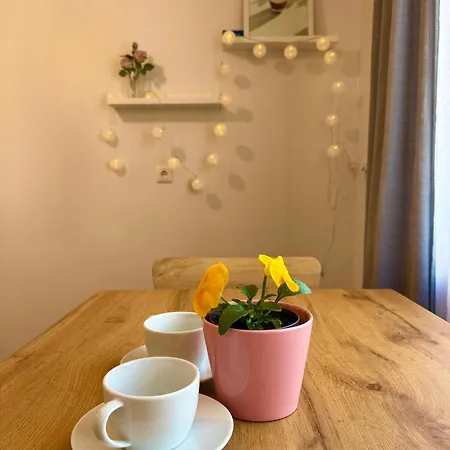Studio Apartment * פארנו